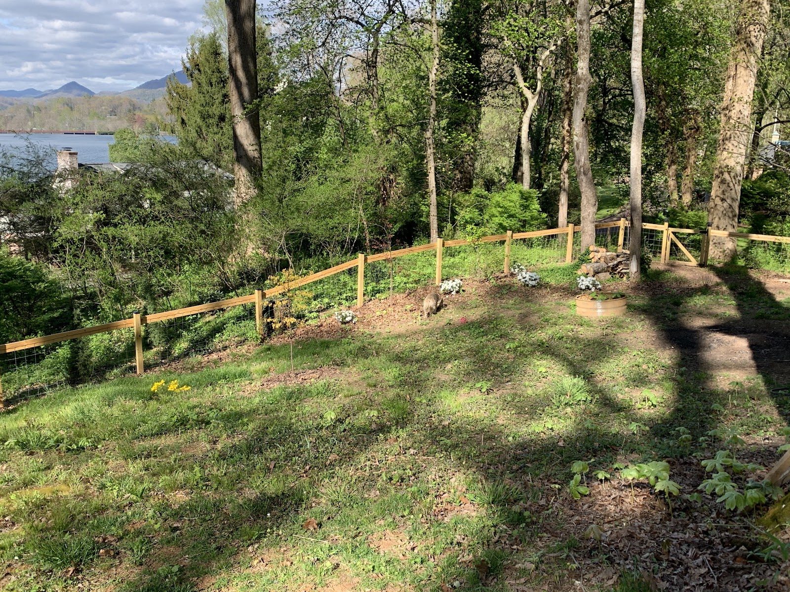 Post-and-rail fence following a wooded slope